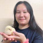 Portrait of Carria Xie holding a chick.